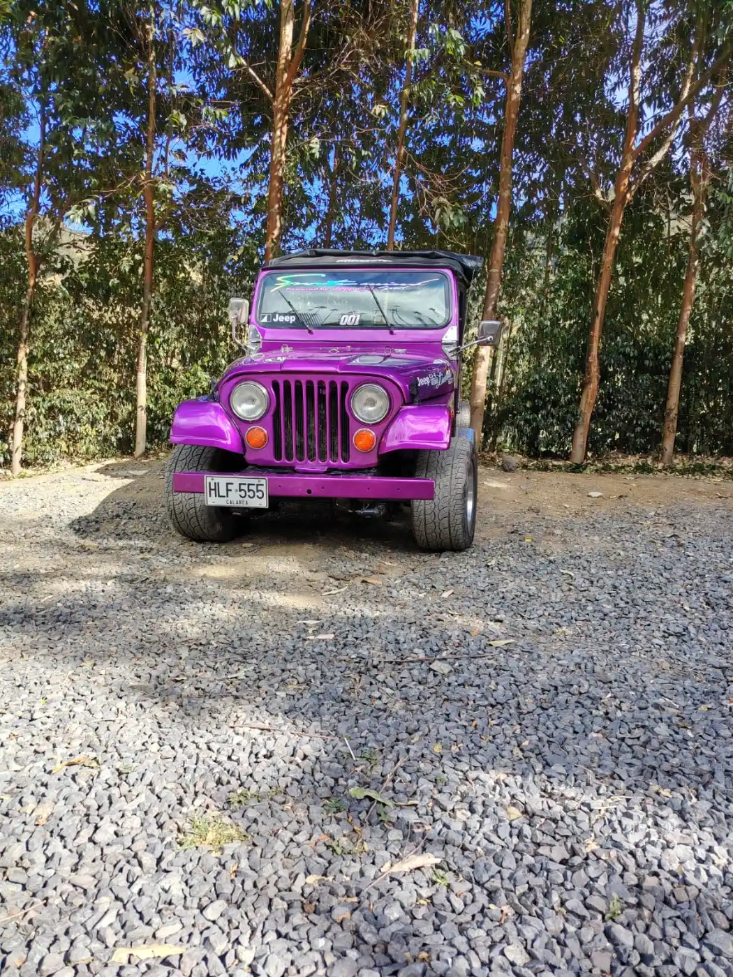 Carlos's Willys jeep